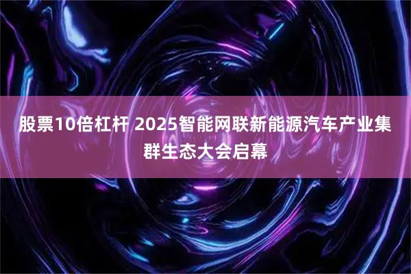 股票10倍杠杆 2025智能网联新能源汽车产业集群生态大会启幕